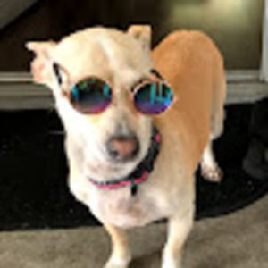 Meet your Posher, Darlene